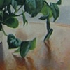 hanging plant