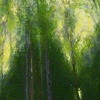 2009