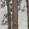 houghton pines III