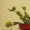 Venus Flytrap II