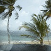 Sudden Shower, Emily Nathan