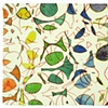 Untitled 2, Tallulah Terryll