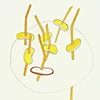Bean Series (Collaboration #4)