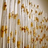 Foil Screen