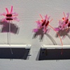 Confections