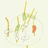 Bean Series (Collaboration #2)