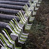 Tuft vs. Turf (Cattle Guard)