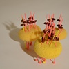 Maquettes