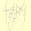 Bean Series #3