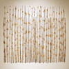Foil Screen