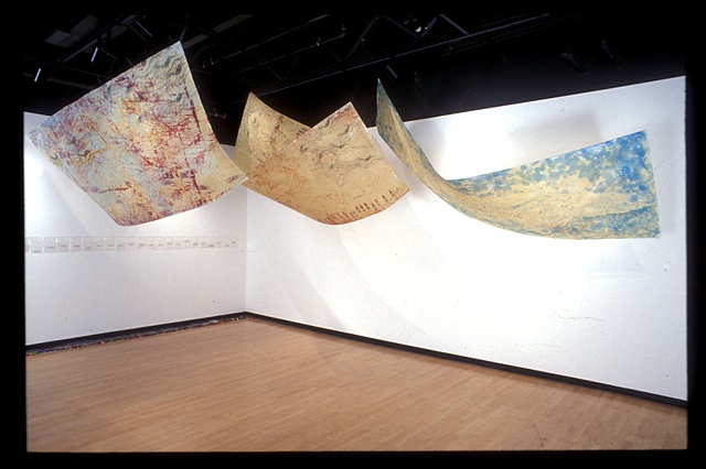 woodcut and screenprint, pelican wings,  scuptural installation  by jill Fitterer