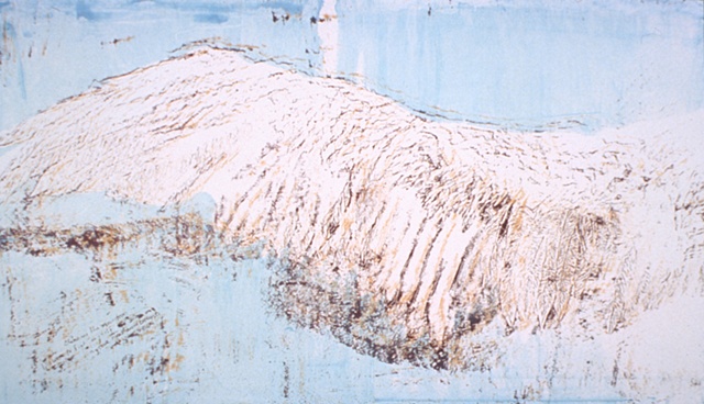 screen print, pelican wings by Jill Fitterer