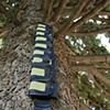 The Dream Tree, View of Book Installation  
