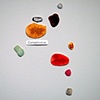 Converging Collections: Imprints Celebrated Through the Process of Gathering