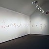 Converging Collections: Imprints Celebrated Through the Process of Gathering