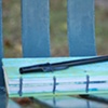 The Dream Tree, book detail on bench in Hailey, Idaho