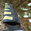 The Dream Tree, View of Installation of Books