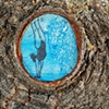 The Dream Tree, Knot Hole etching