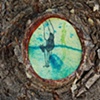 The Dream Tree, Knot Hole etching