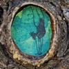 The Dream Tree, Knot Hole etching