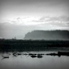 mist