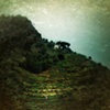 collina splendore 