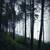 {wander} la push II