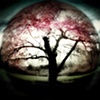 spring held captive 