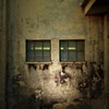 urban findings