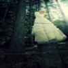 doll on a stump