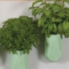 Herb Planter