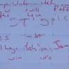 Not-a-Blog 2, 2006