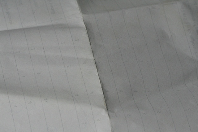 untitled (ridge on numbered paper)