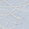  trajectory seagull