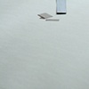 untitled (6799)