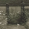 Fence To Nowhere (Sepia)