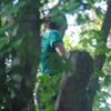 City Creek Canyon 6.12.11