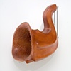 Brooches