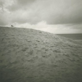 Beach 24