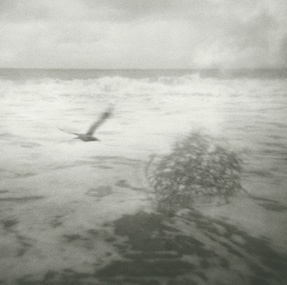 Beach 26