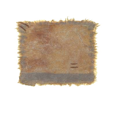 Fuzzy