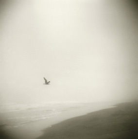 Beach 17