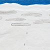 When Snow Turns to Rain