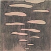 Pink Cloud Study