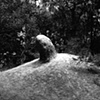 Natural Environment