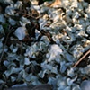 Installation/Photography