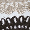 Impression III (poppy seeds & doily)