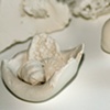 Ovulation I