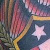 eagle and shield