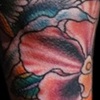 flowers and wings